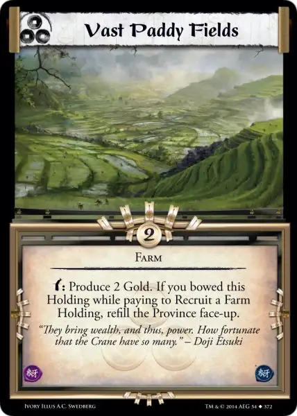 Vast Paddy Fields
