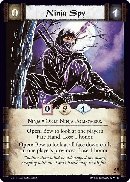 Ninja Spy