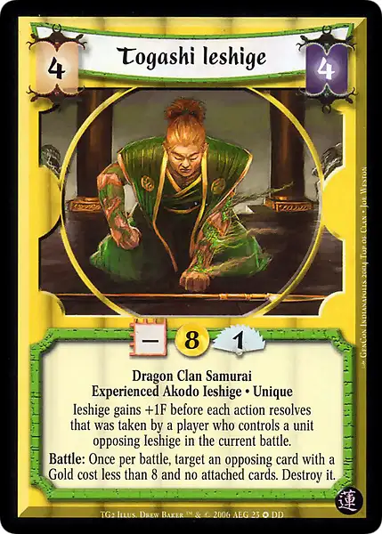 Togashi Ieshige • Experienced